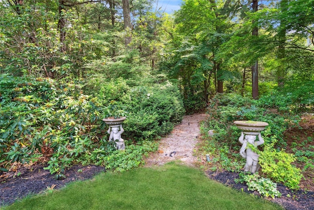 10 Laurel Woods Dr, Upper Brookville, NY 11771 - view of yard