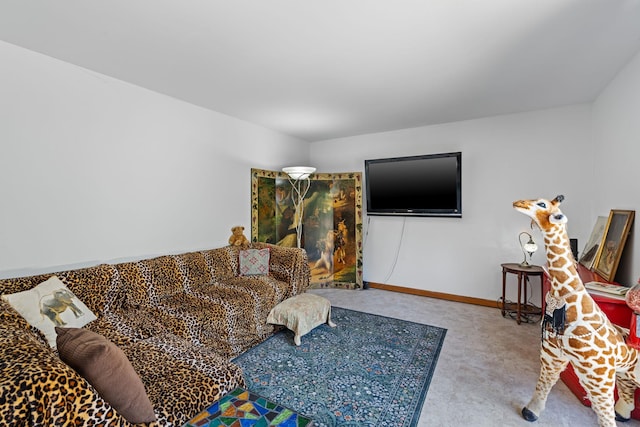 52 Mt Salem Rd, Port Jervis, NY 12771 - photo 15