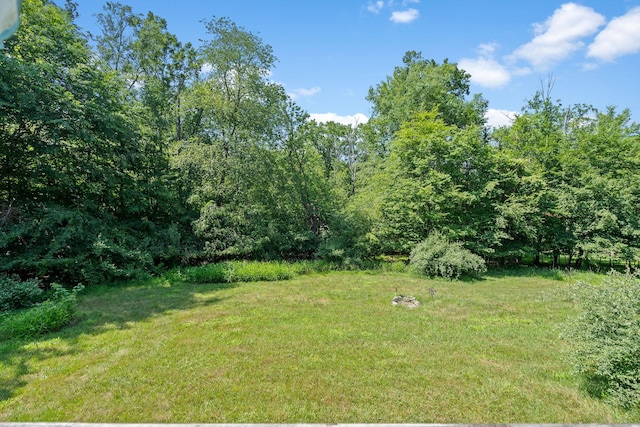 52 Mt Salem Rd, Port Jervis, NY 12771 - photo 46