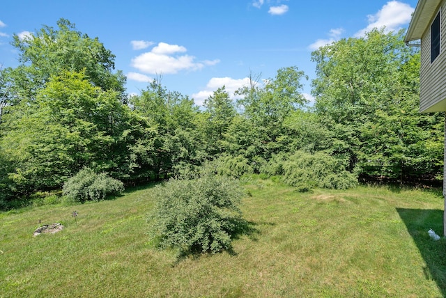 52 Mt Salem Rd, Port Jervis, NY 12771 - photo 47