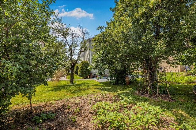 4148 De Reimer Ave, Bronx, NY 10466 - photo 36