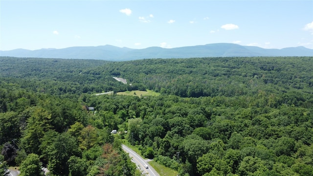 5 Will Palmer Rd, Catskill, NY 12414 - drone / aerial view of a forest and a mountain backdrop