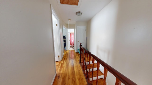 15319 Foch Blvd, Jamaica, NY 11434 - photo 8