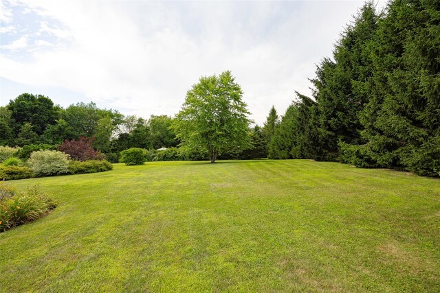 82 Grist Mill Ln, Pleasant Valley, NY 12569 - photo 41