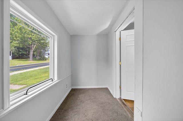 214 Chestnut St, Liberty, NY 12754 - photo 15