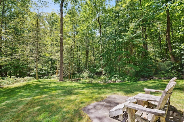 6 Shard Ct, Katonah, NY 10536 - photo 32