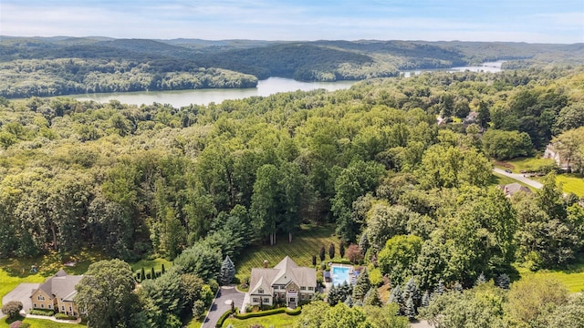6 Shard Ct, Katonah, NY 10536 - photo 34