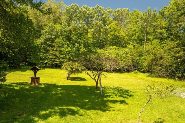TR34 10 Hoffman Rd, Fremont Center, NY 12736 - view of grassy yard