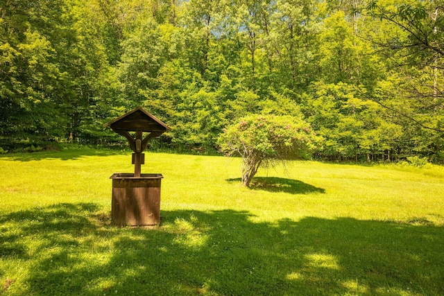 TR34 10 Hoffman Rd, Fremont Center, NY 12736 - view of grassy yard with a wooded view