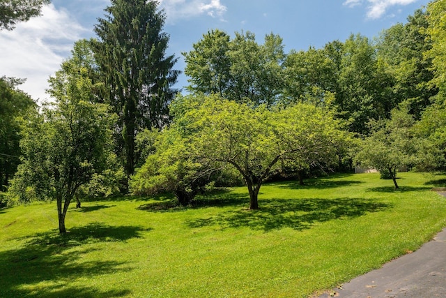 TR34 10 Hoffman Rd, Fremont Center, NY 12736 - view of community featuring a yard
