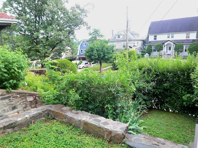 415 E Prospect Ave, Mount Vernon, NY 10553 - photo 10