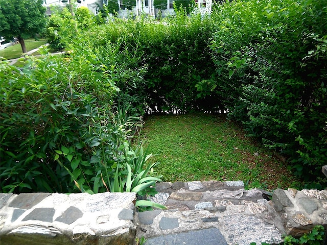 415 E Prospect Ave, Mount Vernon, NY 10553 - photo 11