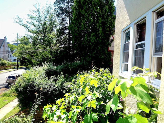 415 E Prospect Ave, Mount Vernon, NY 10553 - photo 23