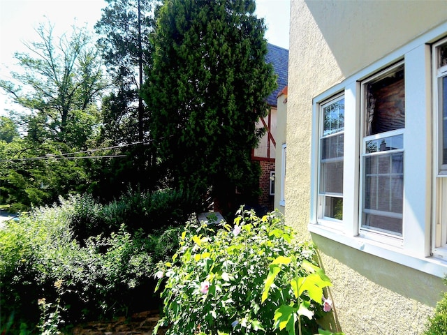 415 E Prospect Ave, Mount Vernon, NY 10553 - photo 24