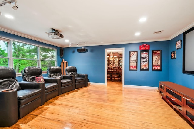 14 Etna Ln, Dix Hills, NY 11746 - cinema with ornamental molding, light wood finished floors, rail lighting, and recessed lighting