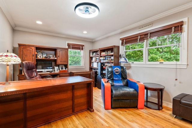 14 Etna Ln, Dix Hills, NY 11746 - office space featuring light wood finished floors, crown molding, and recessed lighting