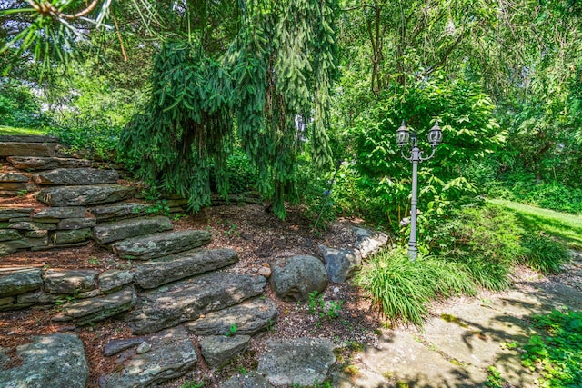 14 Etna Ln, Dix Hills, NY 11746 - view of nature