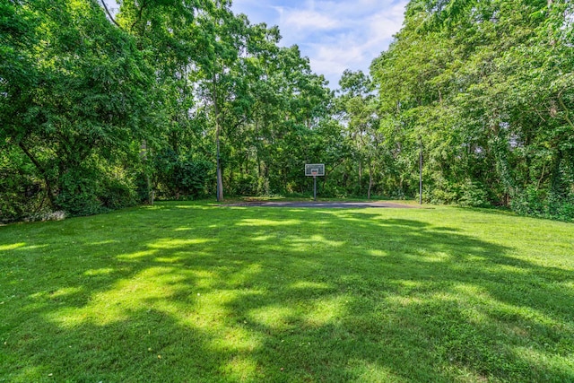 14 Etna Ln, Dix Hills, NY 11746 - view of green lawn