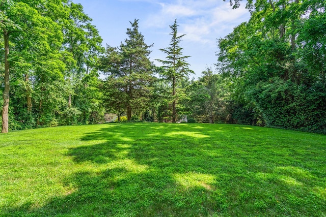14 Etna Ln, Dix Hills, NY 11746 - view of grassy yard featuring a view of trees