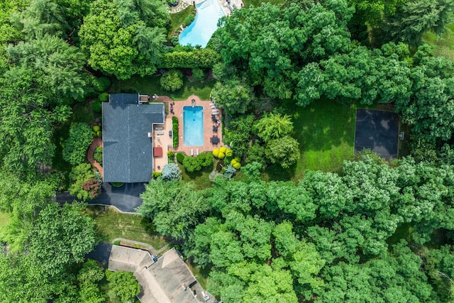 14 Etna Ln, Dix Hills, NY 11746 - aerial view of property's location featuring a pool area