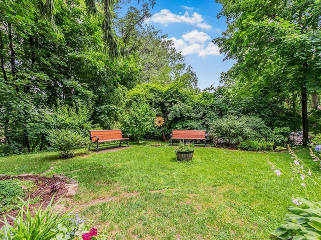 679 W 239th St W Unit 3J, Bronx, NY 10463 - view of green lawn