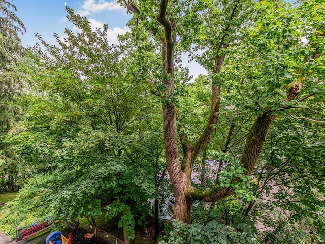 679 W 239th St W Unit 3J, Bronx, NY 10463 - view of undeveloped land