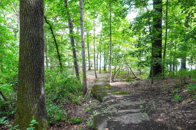 3103 Chelsea Cv S, Hopewell Junction, NY 12533 - view of woods
