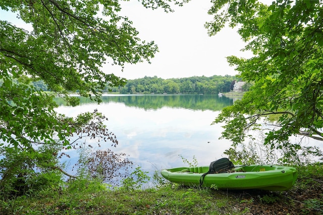 3103 Chelsea Cv S, Hopewell Junction, NY 12533 - water view featuring a forest