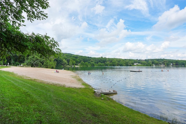 3103 Chelsea Cv S, Hopewell Junction, NY 12533 - water view with a heavily wooded area