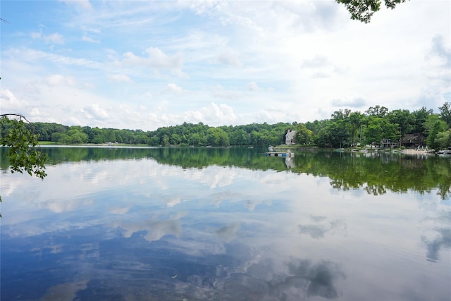 3103 Chelsea Cv S, Hopewell Junction, NY 12533 - water view featuring a forest