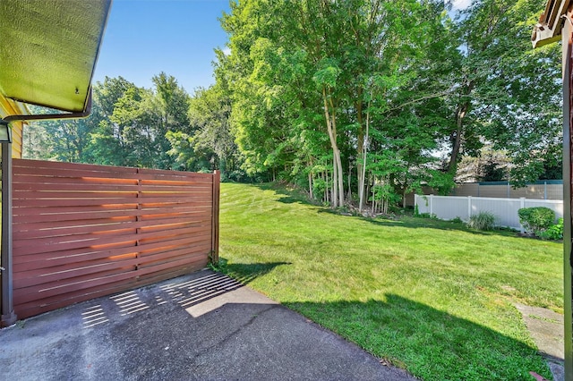 3 Adrian Ct Unit B, Cortlandt Manor, NY 10567 - view of yard