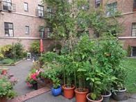 292 Main St Unit 4C, White Plains, NY 10601 - surrounding community with a vegetable garden