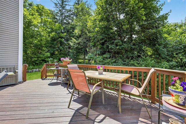 45 Woodland Dr, Carmel, NY 10512 - photo 35