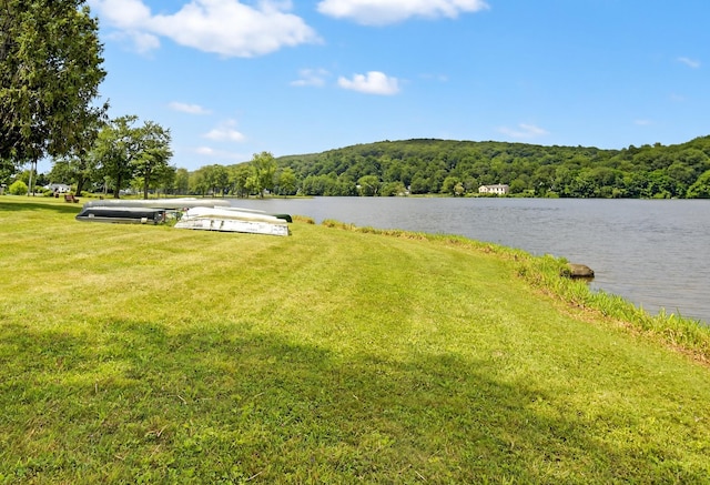 45 Woodland Dr, Carmel, NY 10512 - photo 42