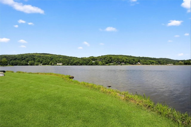 45 Woodland Dr, Carmel, NY 10512 - photo 44