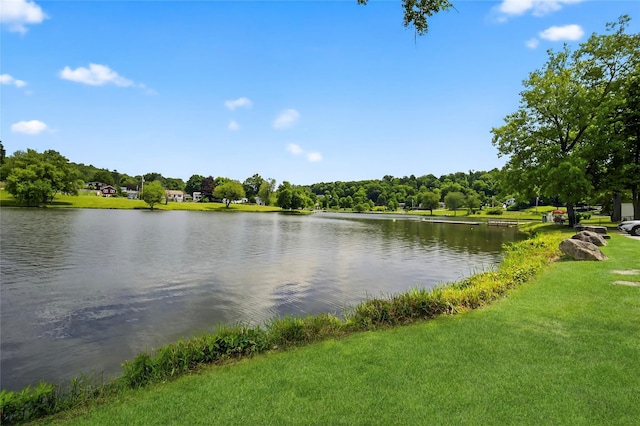 45 Woodland Dr, Carmel, NY 10512 - photo 45