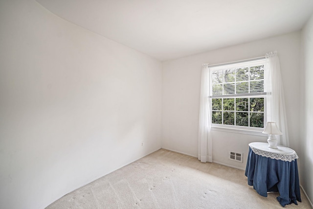 708 Bohemia Pkwy, Sayville, NY 11782 - photo 18