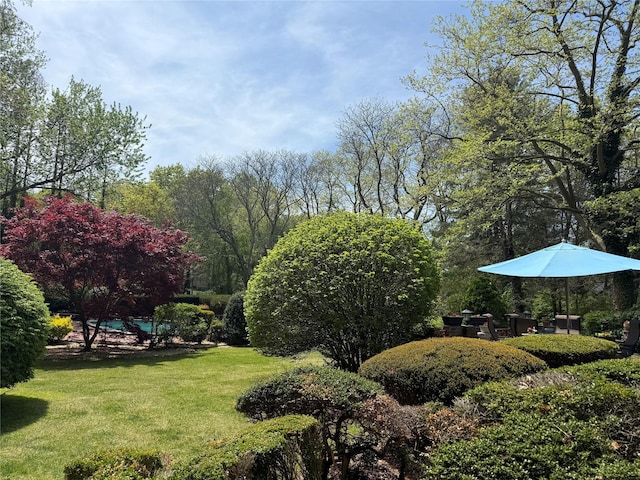 8 Lisa Dr, Dix Hills, NY 11746 - view of grassy yard