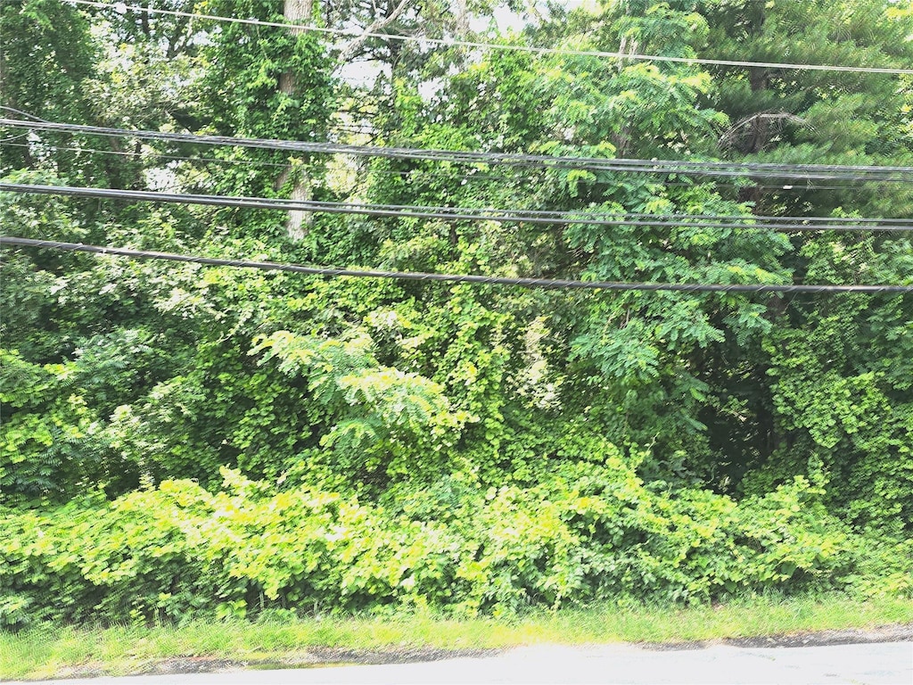 VL Yaphank-Middle Island Rd, Yaphank, NY 11980 - photo 1