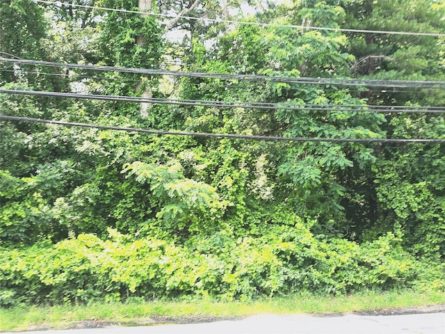 VL Yaphank-Middle Island Rd, Yaphank, NY 11980 - photo 1