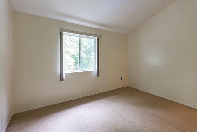 417SKYLINEDRIVE Skyline, Staten Island, NY 10304 - photo 16
