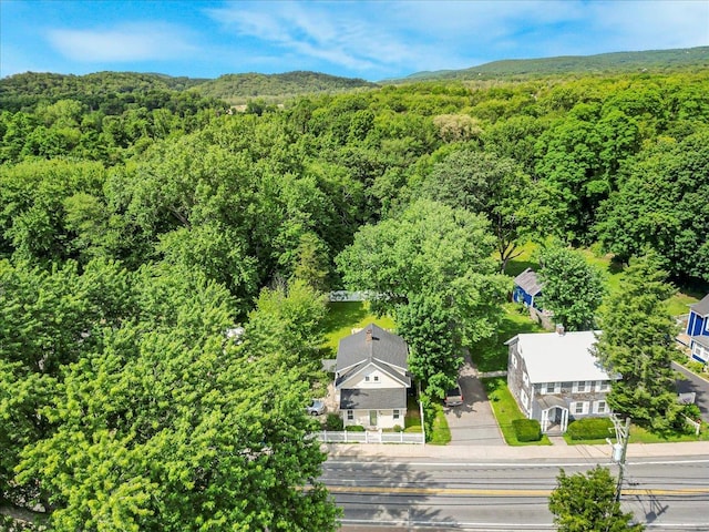 1098 Rte 311, Patterson, NY 12563 - aerial view of a forest