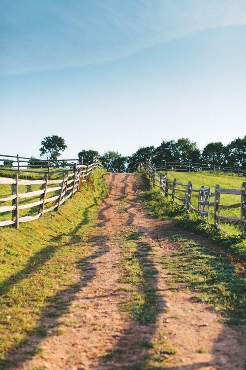 282 W Shore Rd, Swan Lake, NY 12783 - view of road with a view of rural / pastoral area