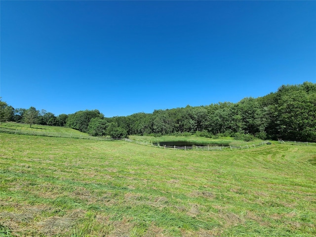 282 W Shore Rd, Swan Lake, NY 12783 - view of yard with a view of countryside