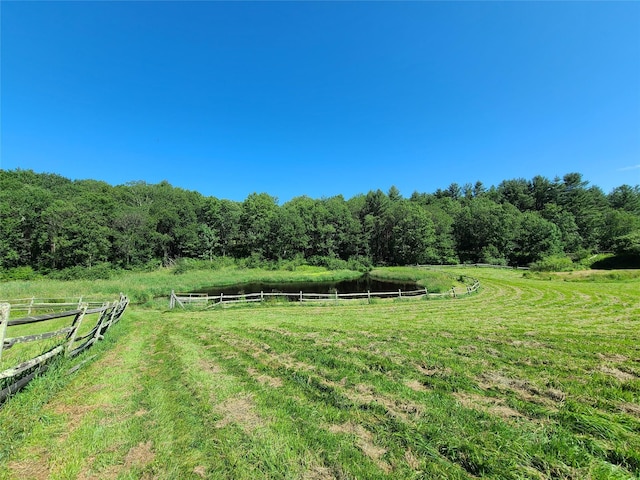 282 W Shore Rd, Swan Lake, NY 12783 - view of yard with a rural view and a forest view