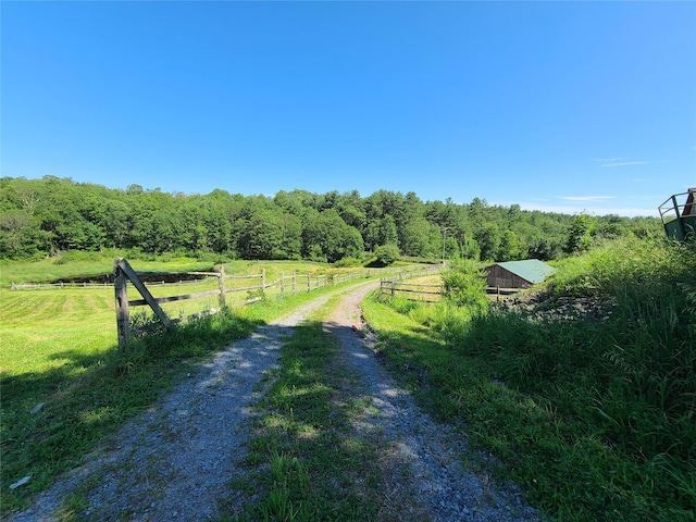 282 W Shore Rd, Swan Lake, NY 12783 - view of street with a view of rural / pastoral area and a view of trees