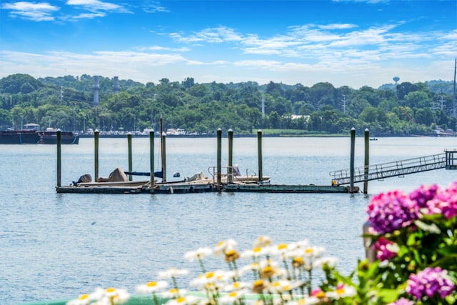 75 W Shore Rd Unit 4, Port Washington, NY 11050 - dock with a water view and a wooded view