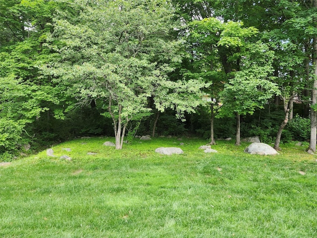 108 Village Rd Unit B, Jefferson Valley, NY 10598 - view of green lawn