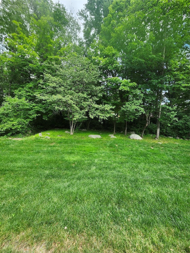 108 Village Rd Unit B, Jefferson Valley, NY 10598 - view of green lawn