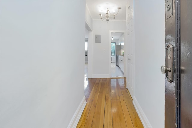 914 Wynnewood Rd Unit 3R, Pelham, NY 10803 - hallway featuring a chandelier, light wood-style flooring, and ornamental molding